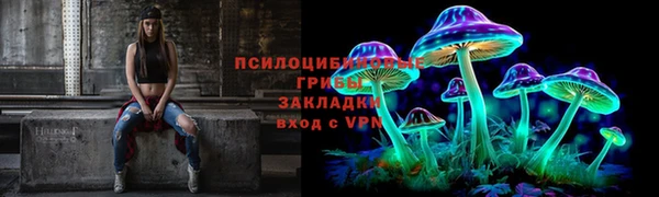 эйфоретик Алексин